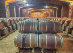 Maipo Valley Wine Tours