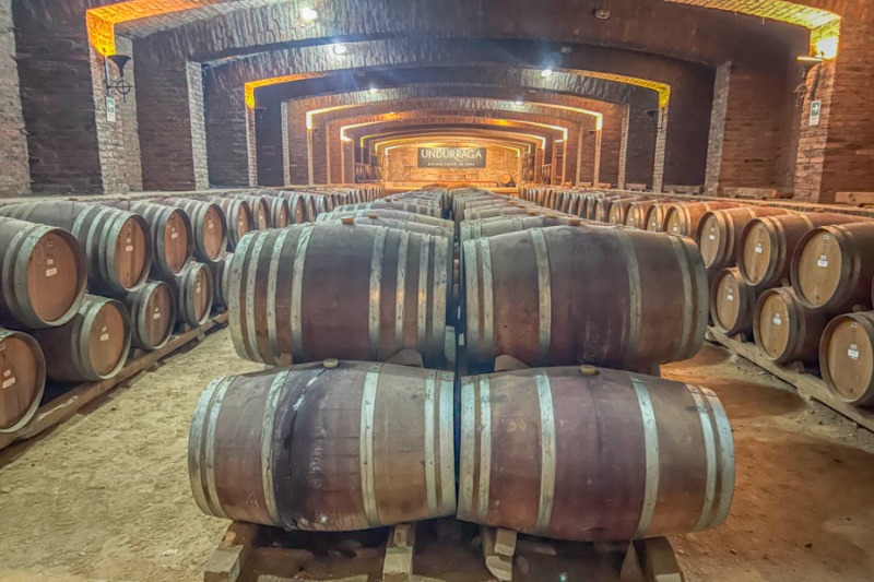 Maipo Valley Wine Tours, How 10 Proven Tips Help Beginners