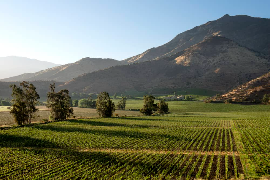 Maipo Valley Wine Tours